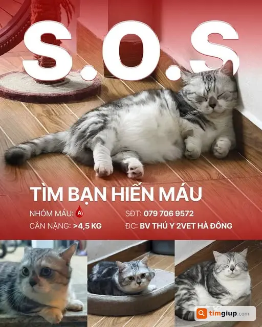Ảnh 1
