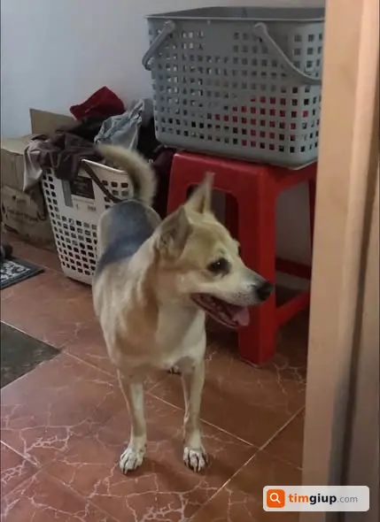 Ảnh 3