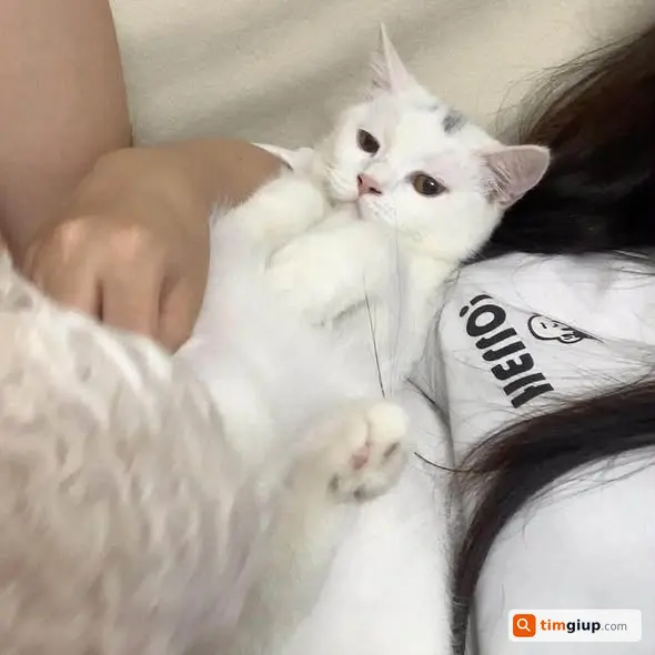 Ảnh 2