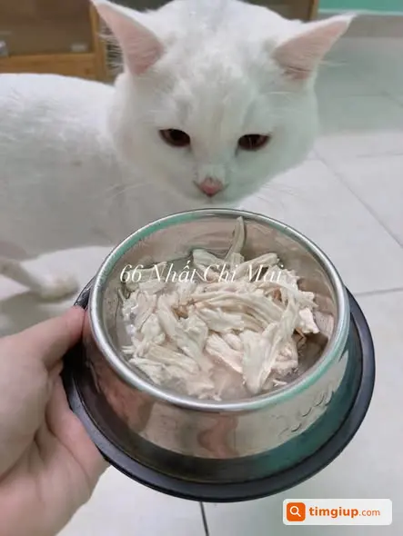 Ảnh 2