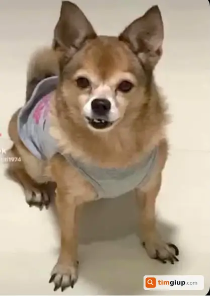 Ảnh 2