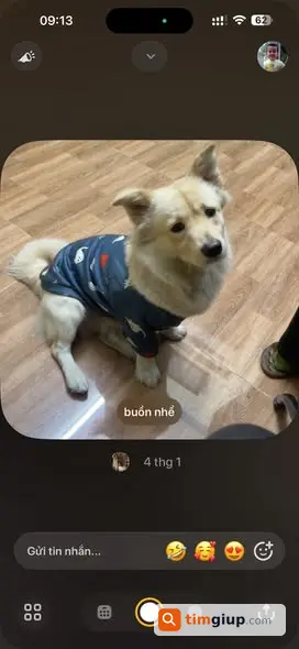 Ảnh 2
