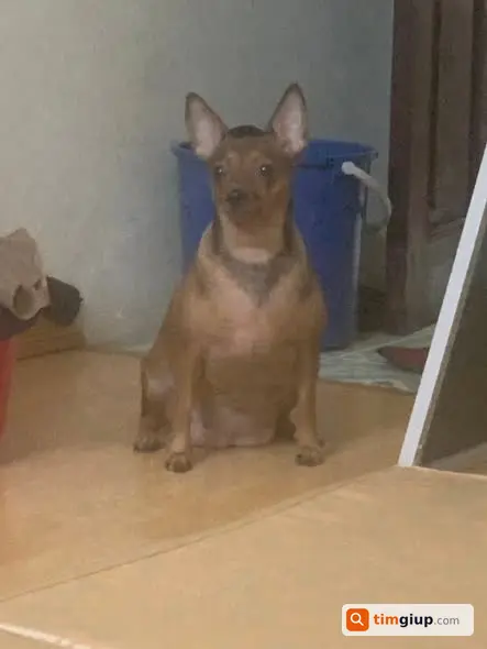 Ảnh 2