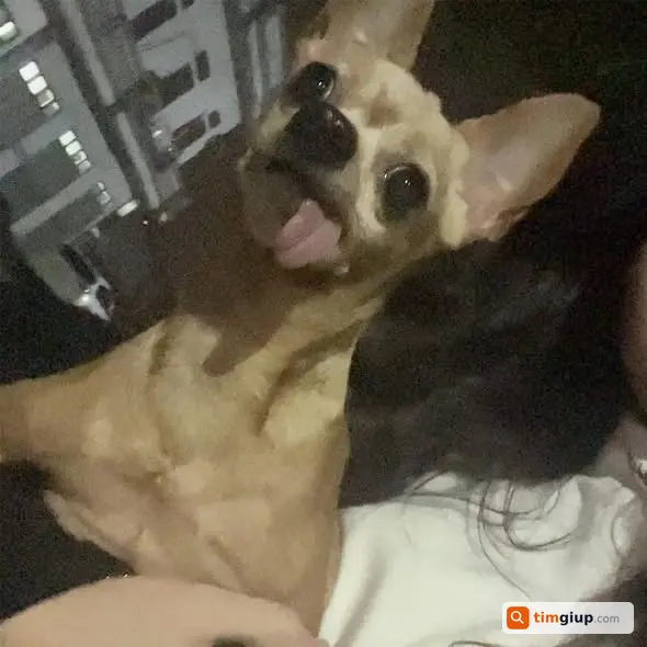 Ảnh 2