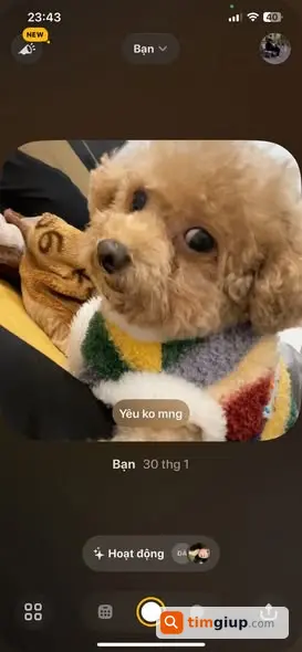 Ảnh 2