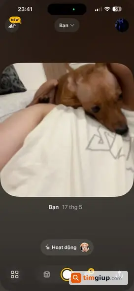 Ảnh 4