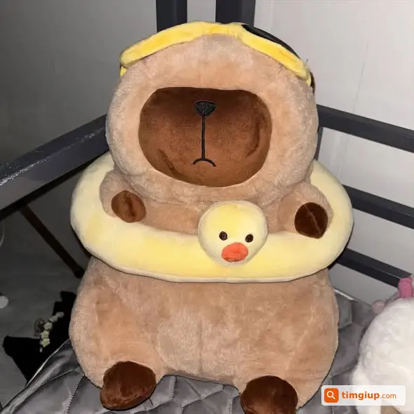 Ảnh 3