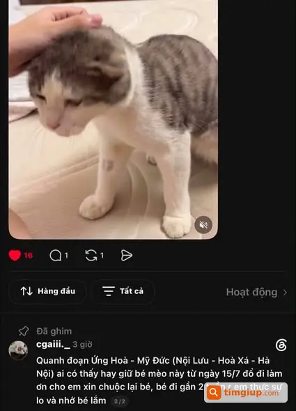 Ảnh 4
