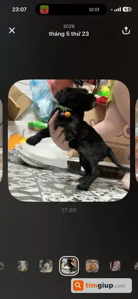 Ảnh 3