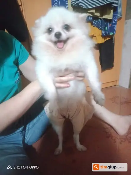 Ảnh 2