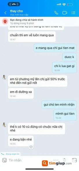 Ảnh 5