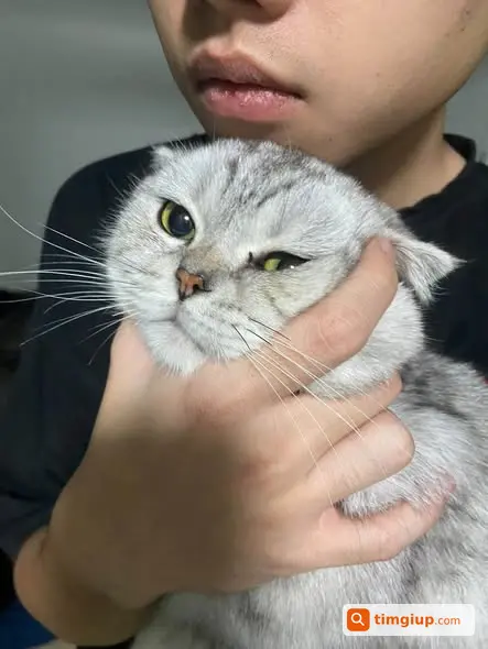 Ảnh 3