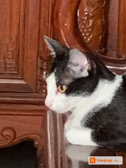 Ảnh 3