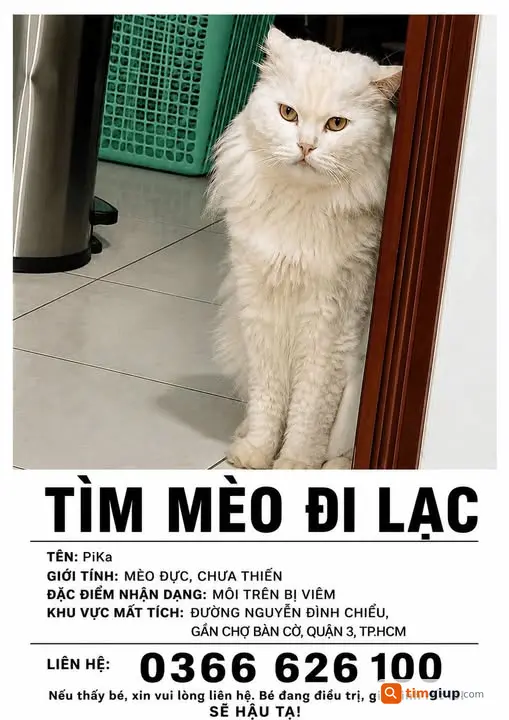 Tìm Người Khác Thất Lạc Khu Vực Quận 3, Tp.hcm