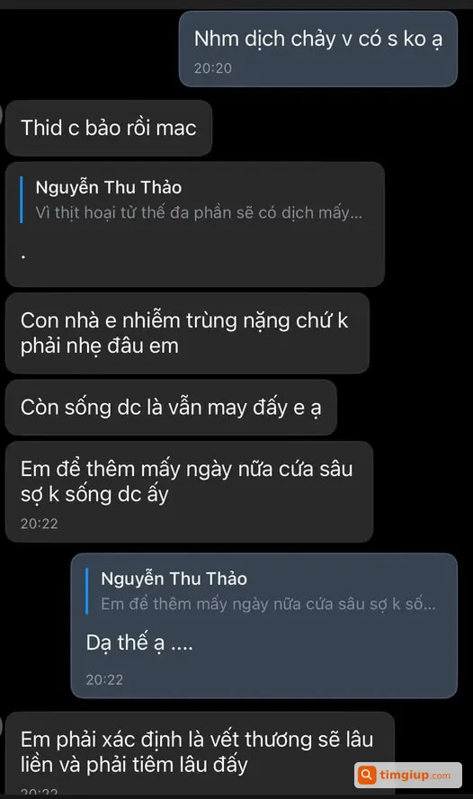 Tìm Chó 21kg Đang Được Chăm Sóc Và Điều Trị
