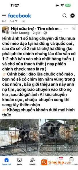 Ảnh 3