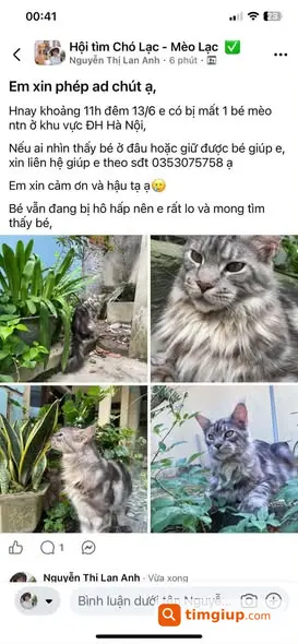 Ảnh 3