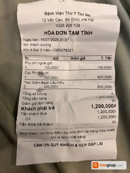 Ảnh 2