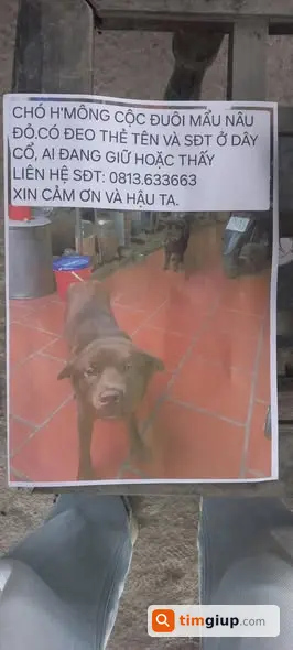 Ảnh 5