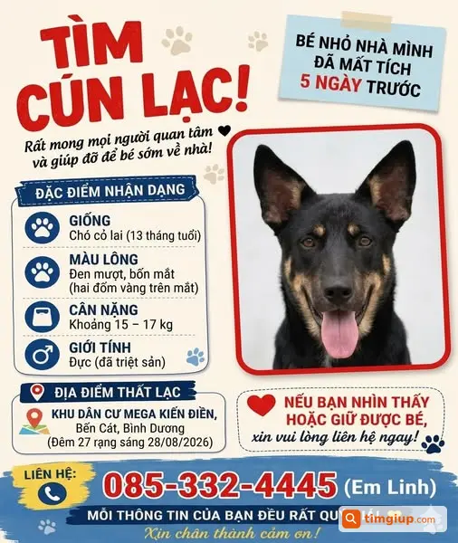 Tìm Chó Thất Lạc, Gia Đình Mong Tin Bé Trở Về An Toàn