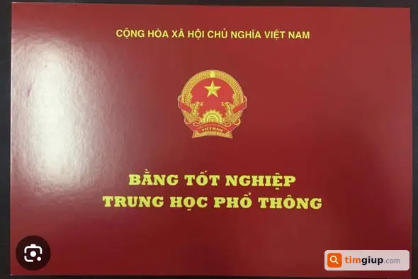 Ảnh 2