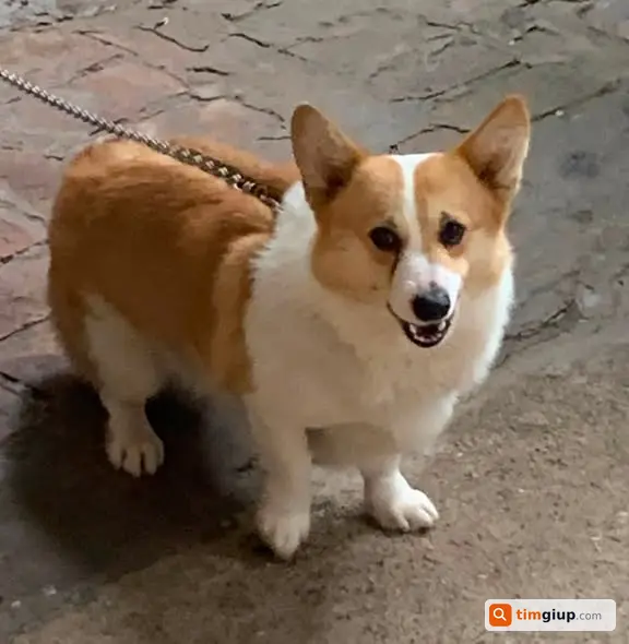 Ảnh 3