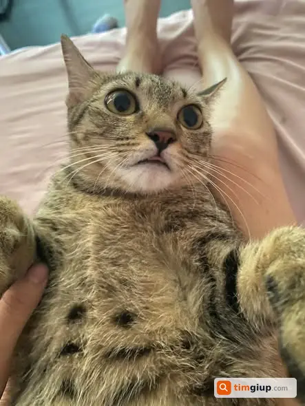 Ảnh 3