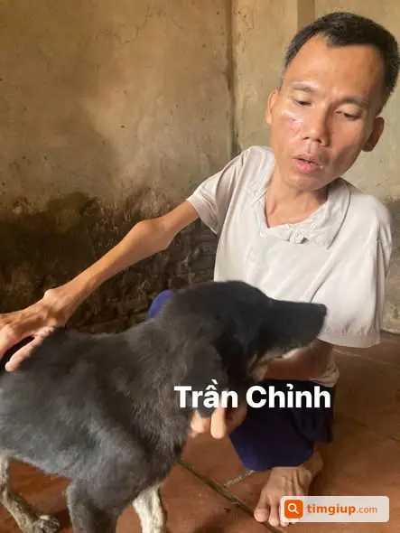 Ảnh 2