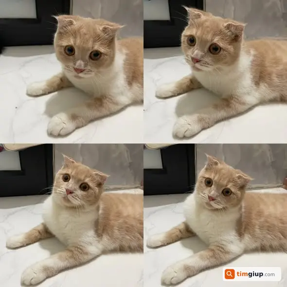 Ảnh 3