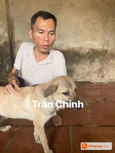 Ảnh 3