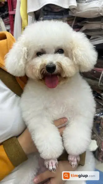 Ảnh 2