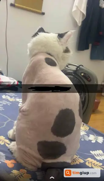 Ảnh 2