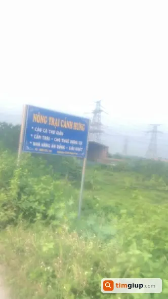 Ảnh 3