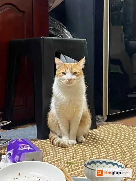 Ảnh 2