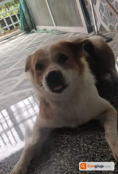 Ảnh 3