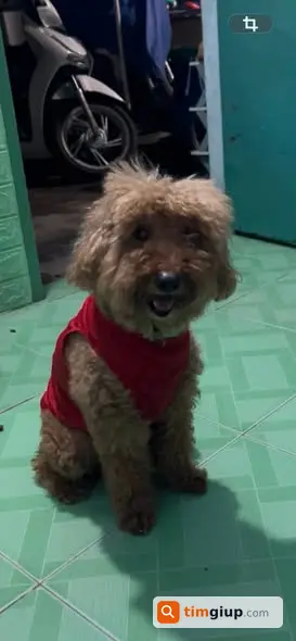 Ảnh 2