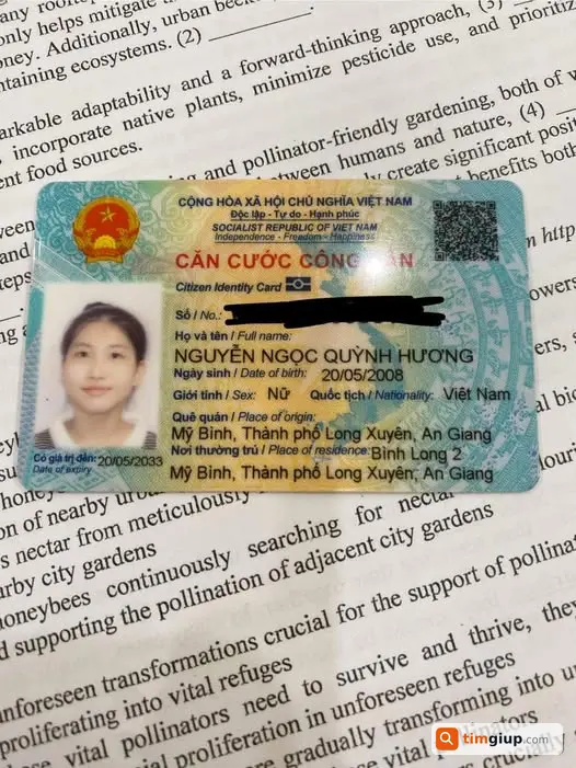 Trọng Hiếu tìm giấy tờ bị rơi khu Cầu Hoàng Diệu, Hà Nội