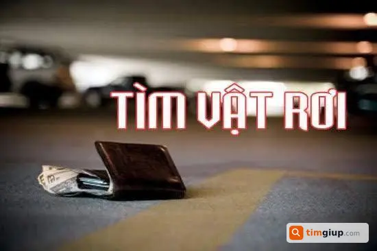 Tìm ví của Nguyễn Hữu Hoàn rơi tuyến Trần Duy Hưng - Nước Ngầm