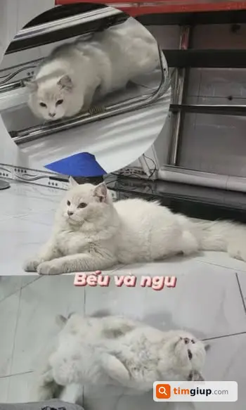 Ảnh 5
