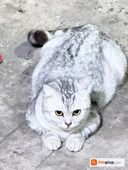 Ảnh 3