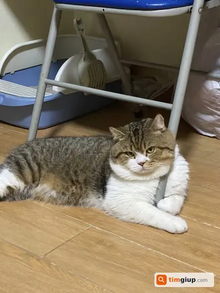 Ảnh 3