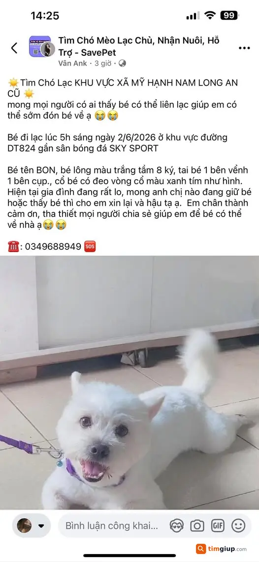 Tìm người/bé thất lạc, liên hệ 0349688949 hỗ trợ tìm kiếm