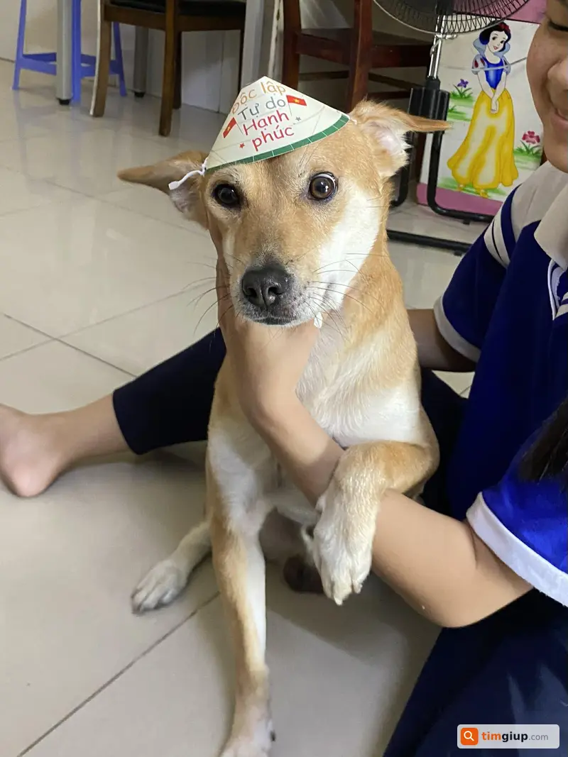 Ảnh 2