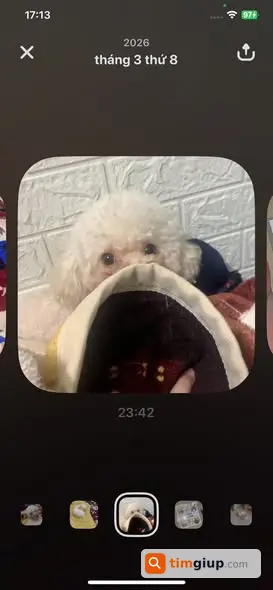 Ảnh 2