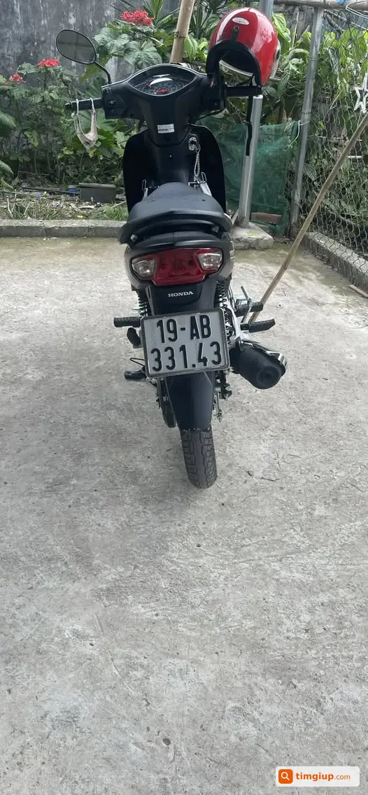 Ảnh 1