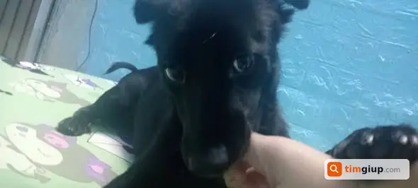 Ảnh 3