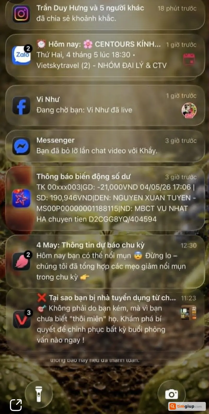 Ảnh 3