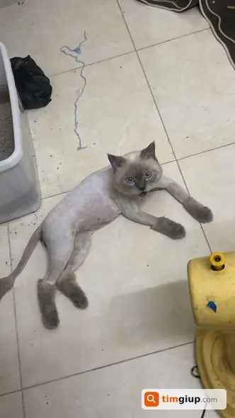 Ảnh 2