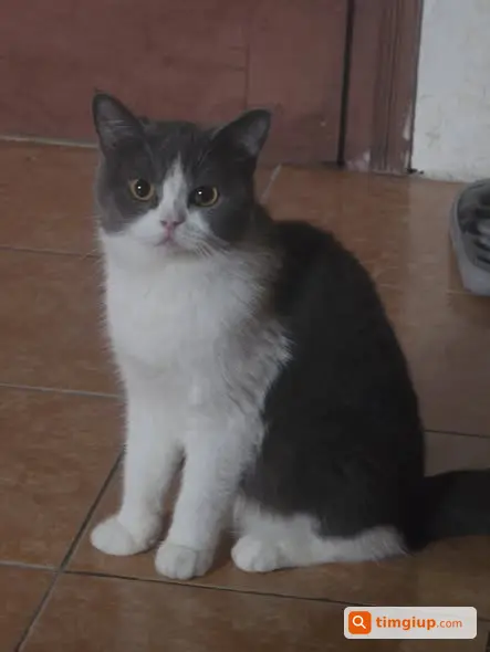 Ảnh 3