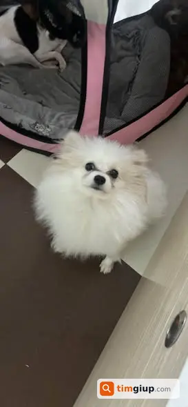 Ảnh 2